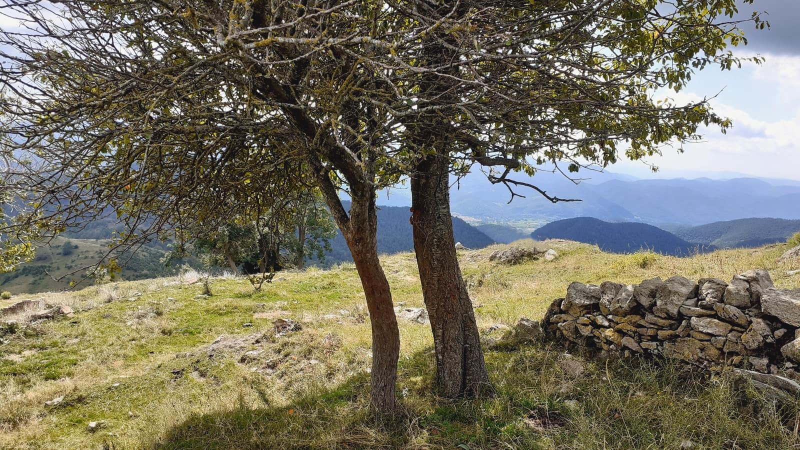 Bauplatz zu verkaufen in Ogassa - 295.000 € (Ref: 9583444)