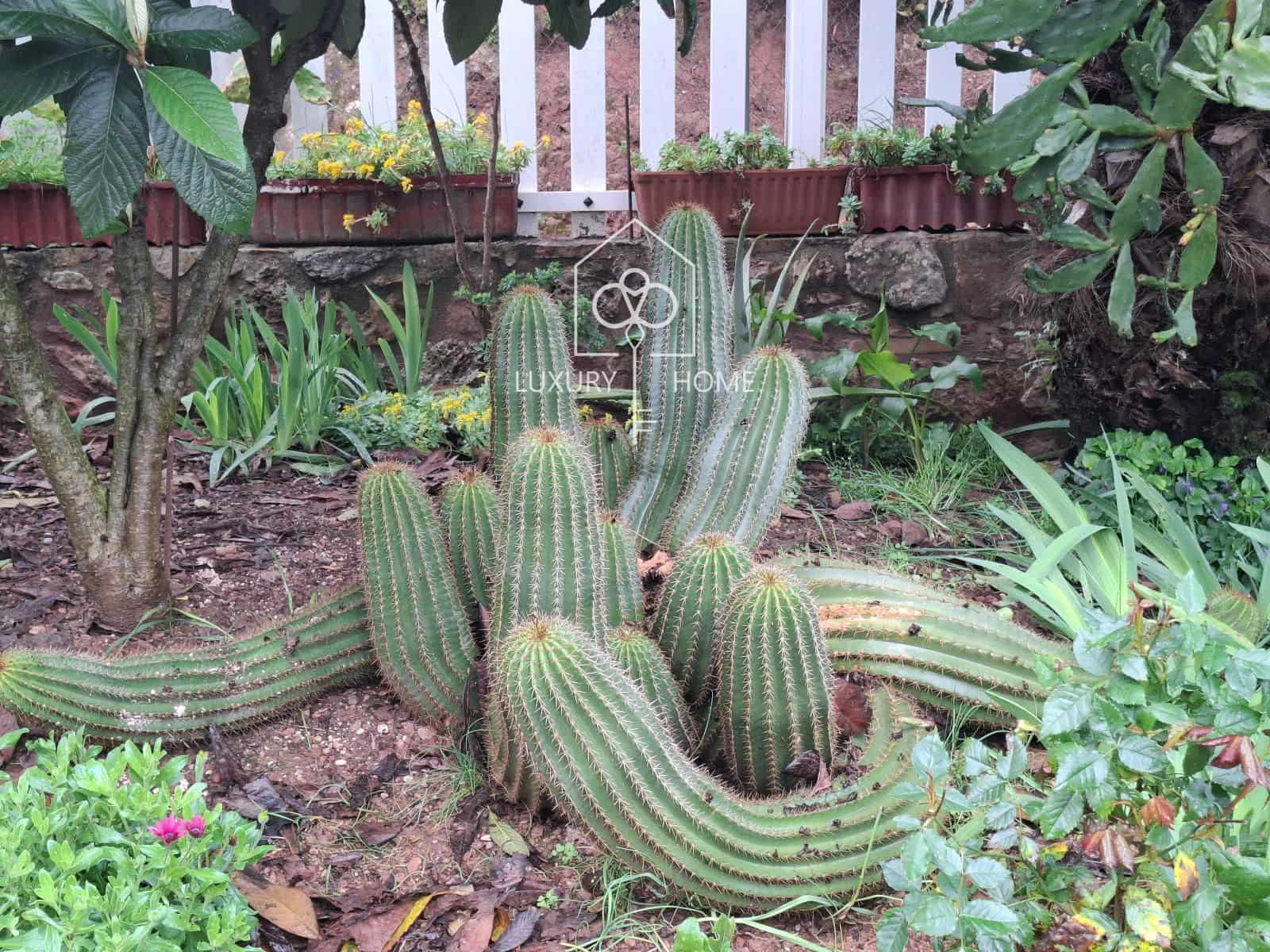 6 bedroom Villa for sale in Begues with garage - € 875,000 (Ref: 9706052)