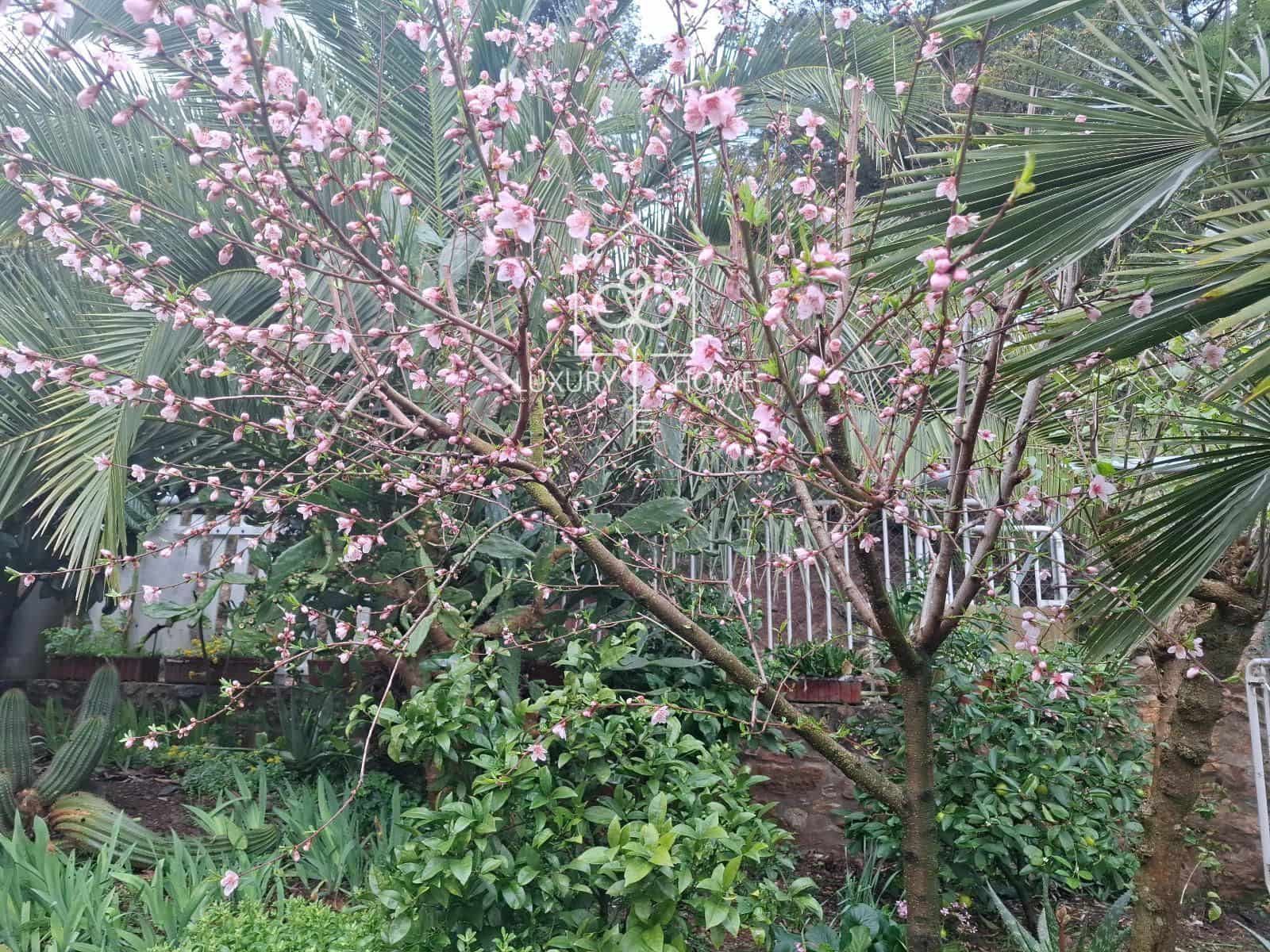 6 bedroom Villa for sale in Begues with garage - € 875,000 (Ref: 9706052)