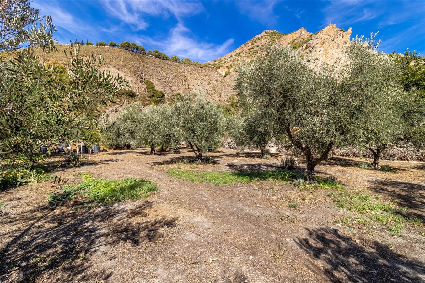 5 bedroom Finca/Country House for sale in Niguelas with pool garage - € 545,000 (Ref: 9414566)