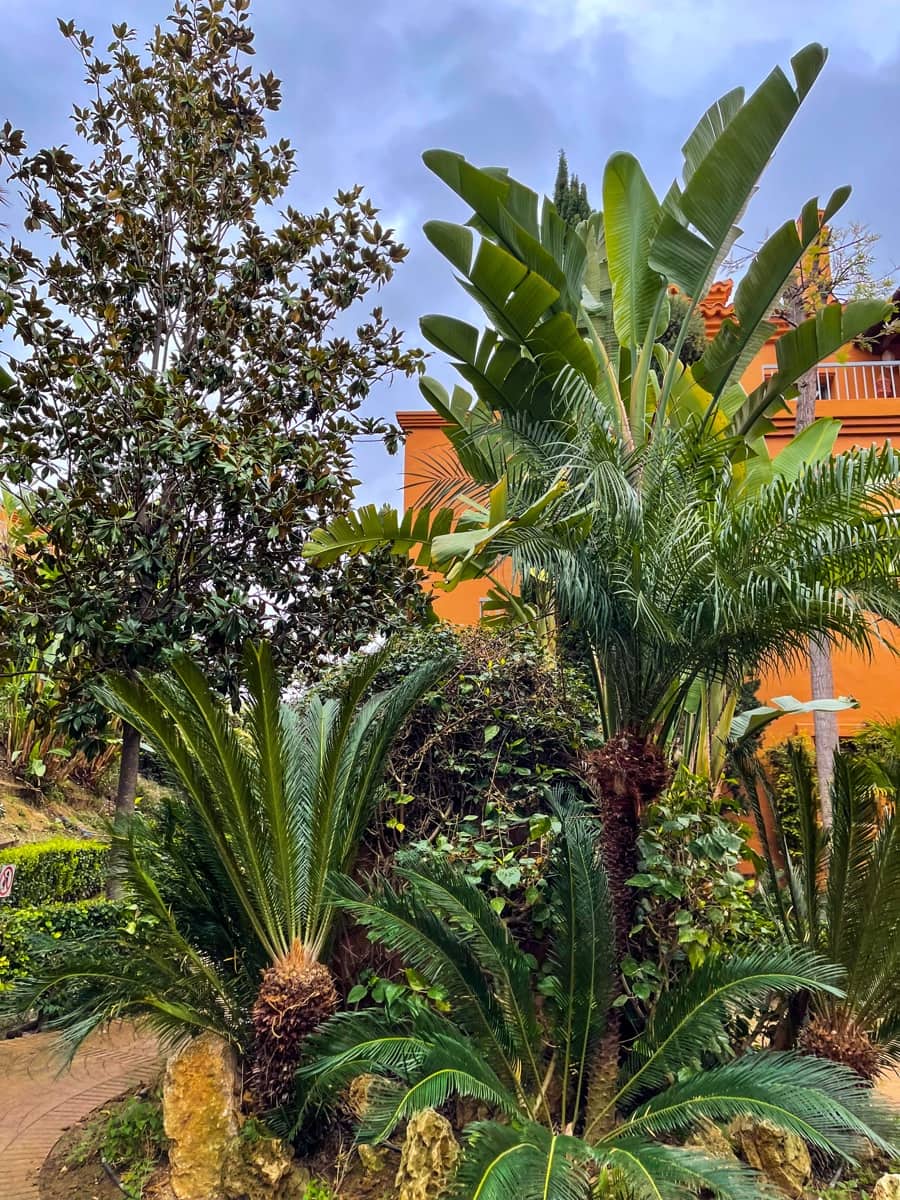 2 Zimmer Apartment zu verkaufen in New Golden Mile mit Pool Garage - 500.000 € (Ref: 9411307)