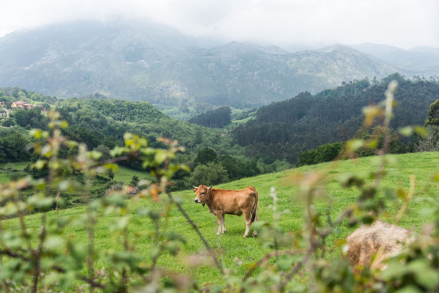 9 bedroom Hotel for sale in Caravia with garage - € 870,000 (Ref: 9412798)