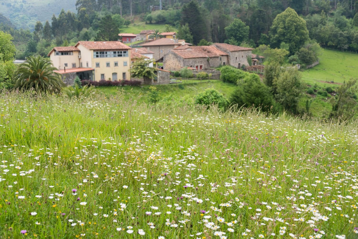 9 bedroom Hotel for sale in Caravia with garage - € 870,000 (Ref: 9412798)