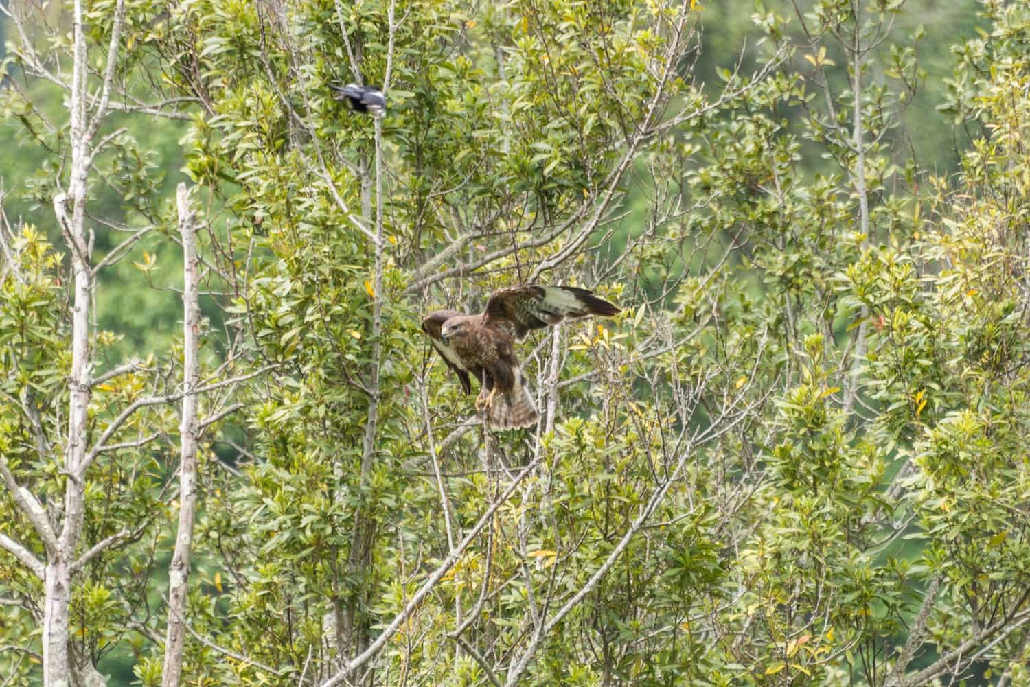 9 bedroom Hotel for sale in Caravia with garage - € 870,000 (Ref: 9412798)