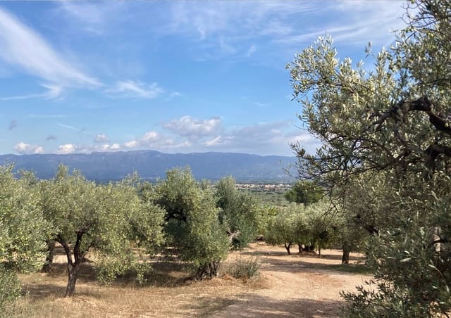 Grunde uden byggetilladelser til salg i Roquetes - € 32.000 (Ref: 9438982)