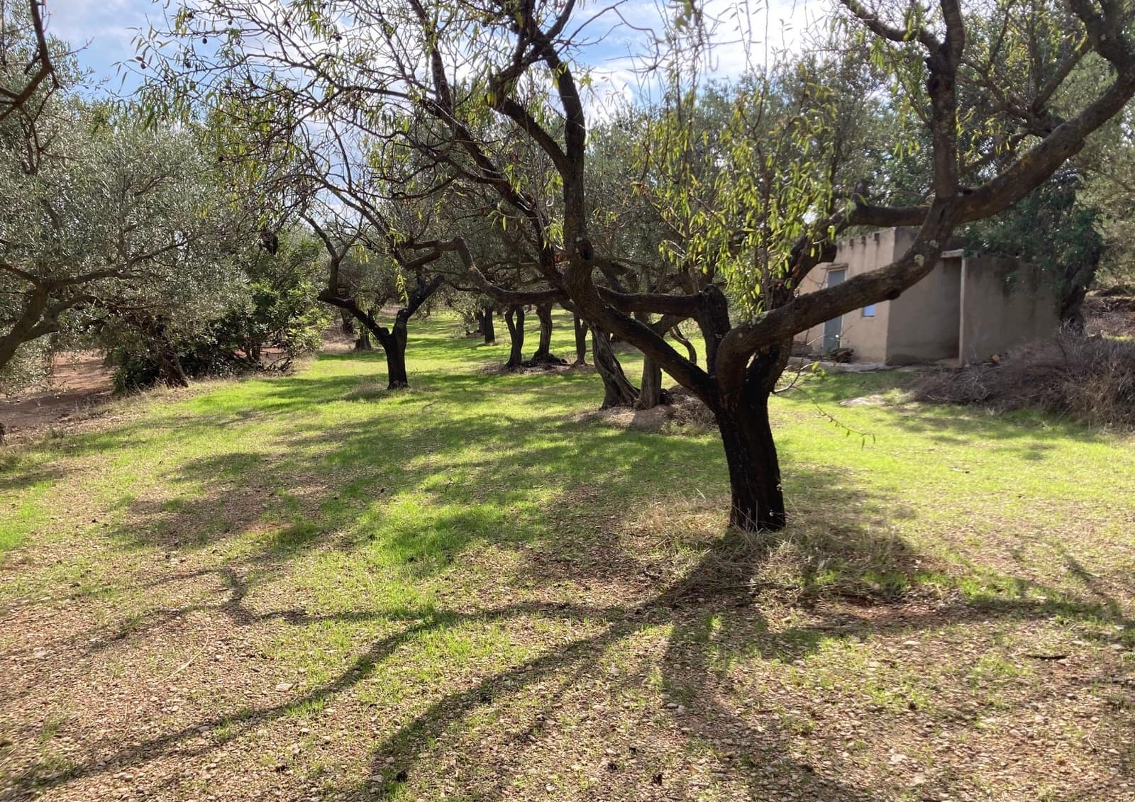 Grunde uden byggetilladelser til salg i Roquetes - € 32.000 (Ref: 9438982)