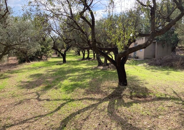 Grunde uden byggetilladelser til salg i Roquetes - € 32.000 (Ref: 9438982)