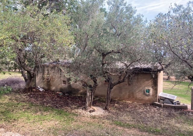 Grunde uden byggetilladelser til salg i Roquetes - € 32.000 (Ref: 9438982)