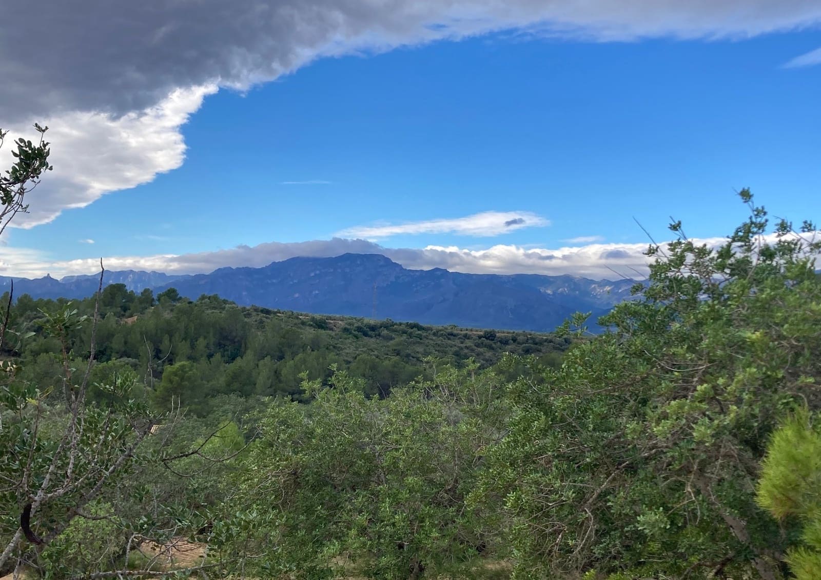 Grond te koop in Bitem - € 69.000 (Ref: 9438988)