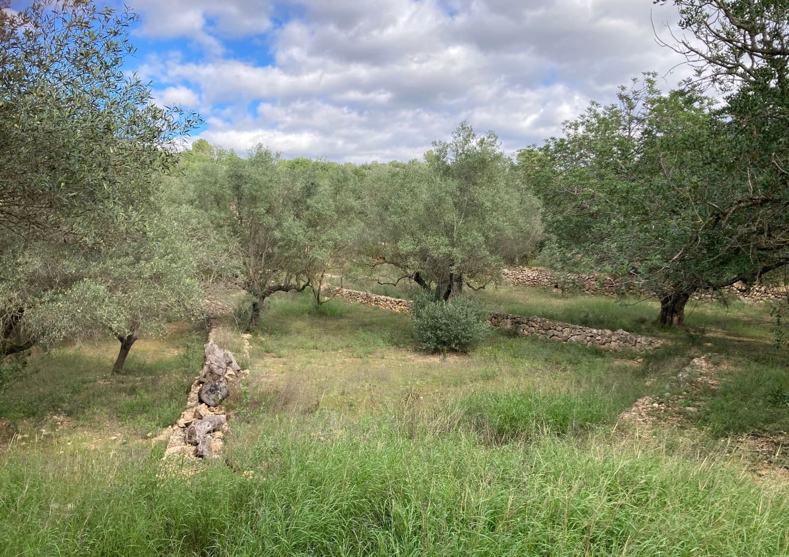 Grond te koop in Bitem - € 69.000 (Ref: 9438988)