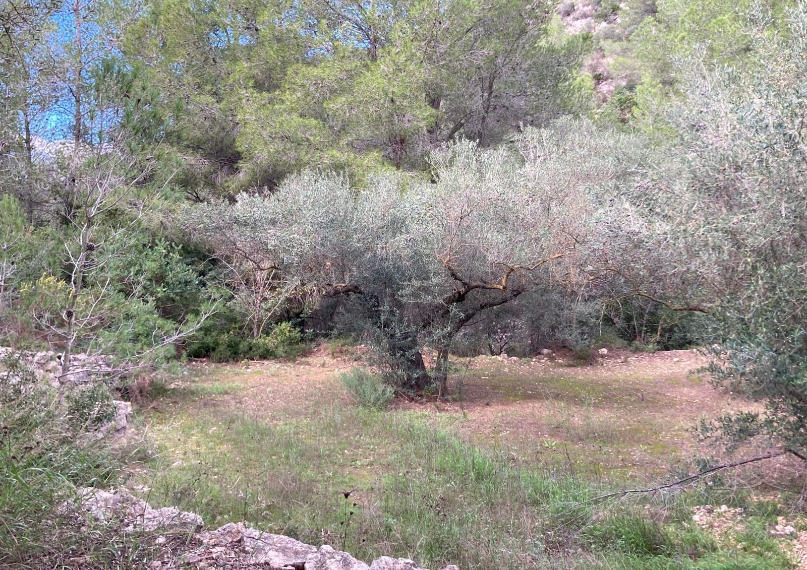 Grond te koop in Bitem - € 69.000 (Ref: 9438988)