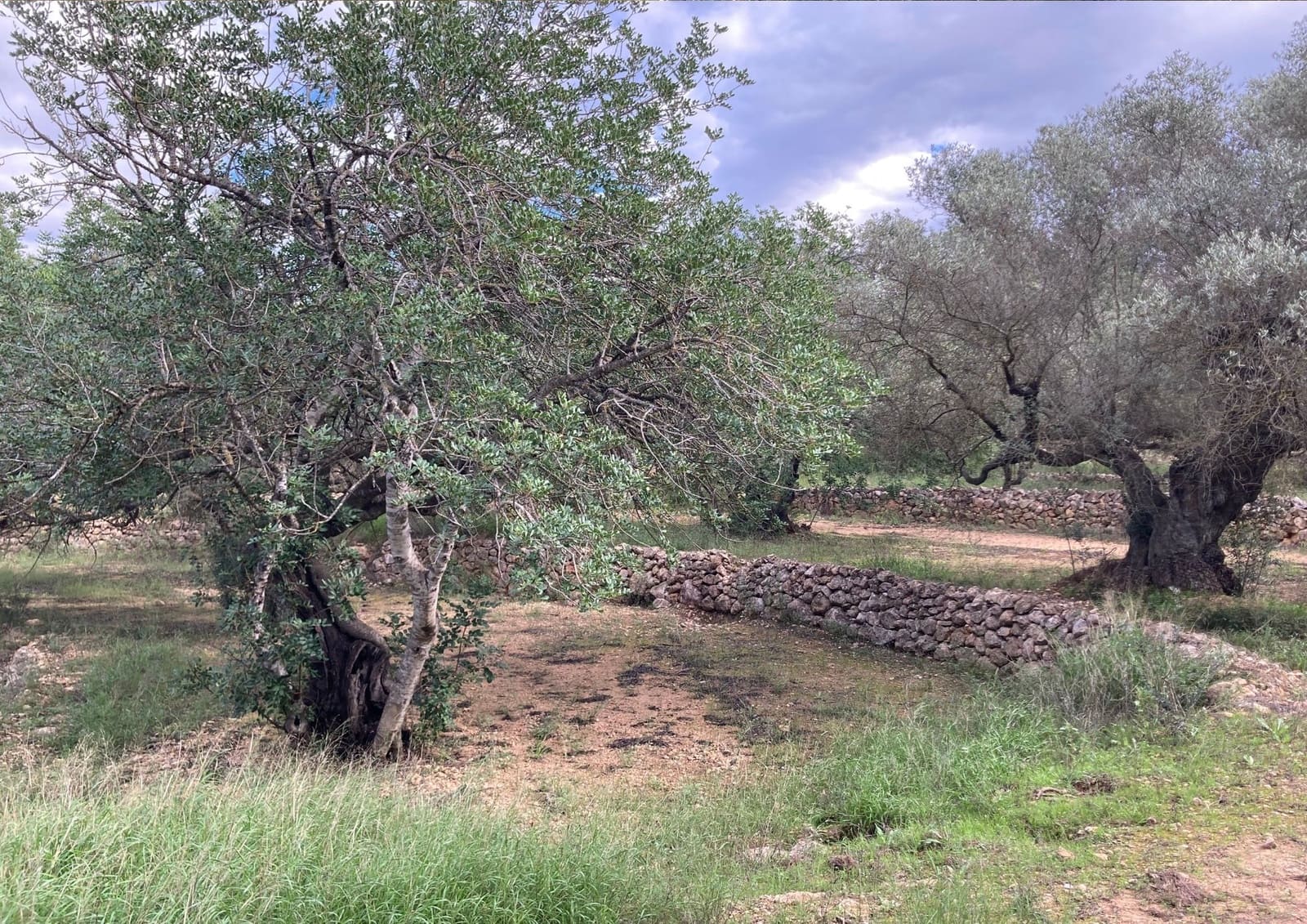 Grond te koop in Bitem - € 69.000 (Ref: 9438988)