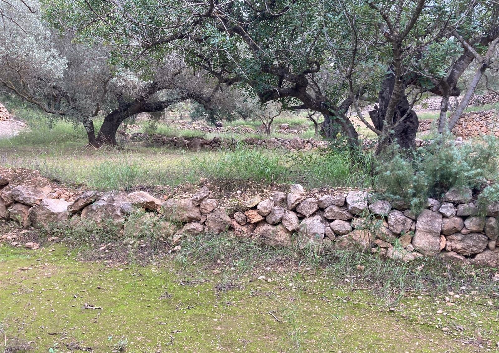 Grond te koop in Bitem - € 69.000 (Ref: 9438988)