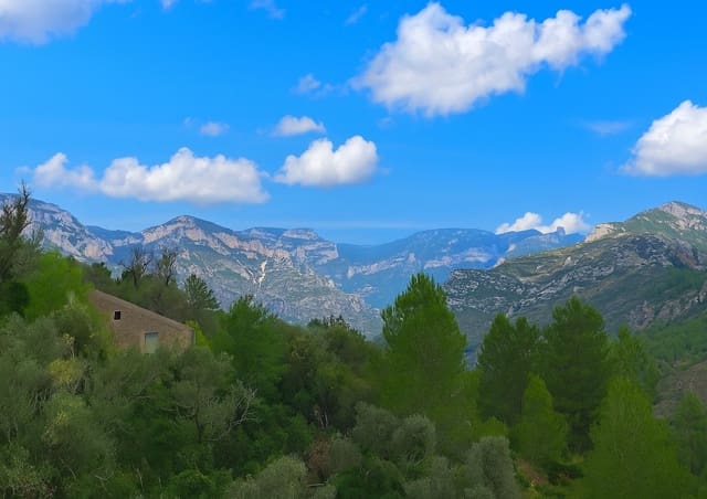 4 sovrum Hus till salu i Mas de Barberans - 164 900 € (Ref: 9439494)