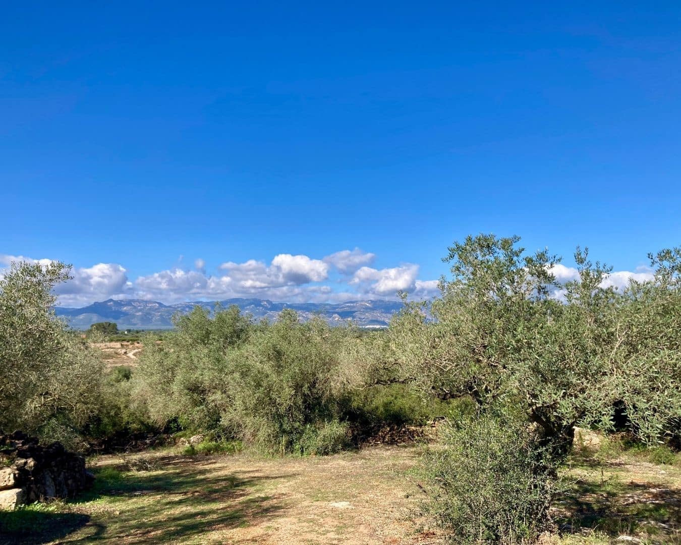 Rakentamaton maa myytävänä paikassa Godall - 43 000 € (Ref: 9439581)