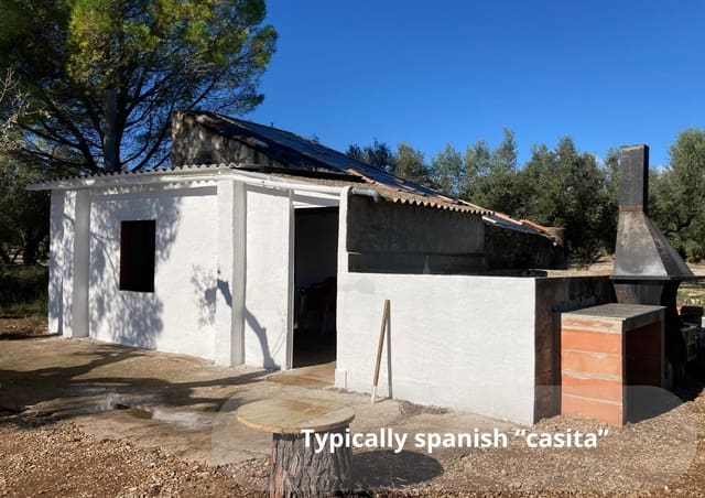 Undeveloped Land for rent in Godall - € 43,000 (Ref: 9439581)