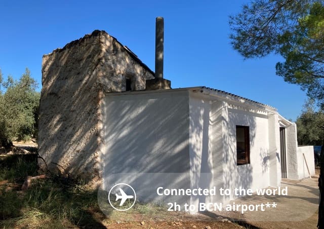 Undeveloped Land for rent in Godall - € 43,000 (Ref: 9439581)