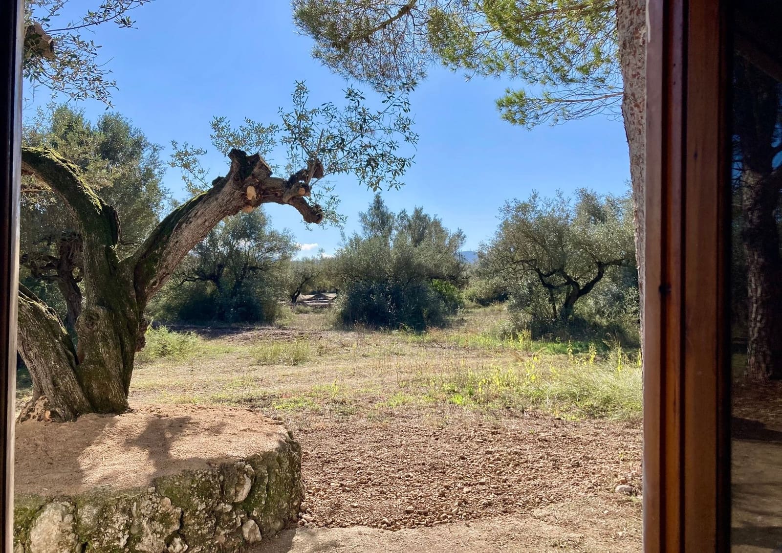 Rakentamaton maa myytävänä paikassa Godall - 43 000 € (Ref: 9439581)