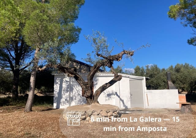 Undeveloped Land for rent in Godall - € 43,000 (Ref: 9439581)