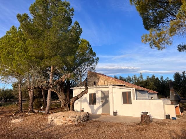 Undeveloped Land for rent in Godall - € 43,000 (Ref: 9439581)