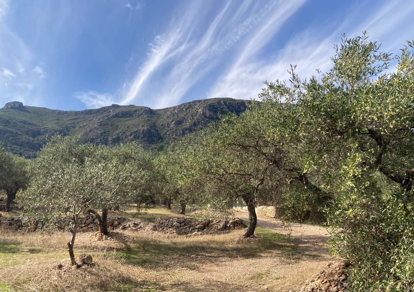 Grunde uden byggetilladelser til salg i Tortosa - € 33.000 (Ref: 9439582)