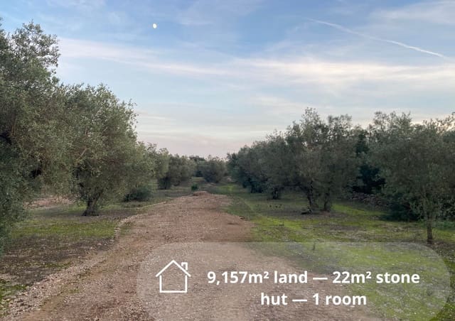 Ubebygd land til salgs i Tortosa - € 33 000 (Ref: 9439583)