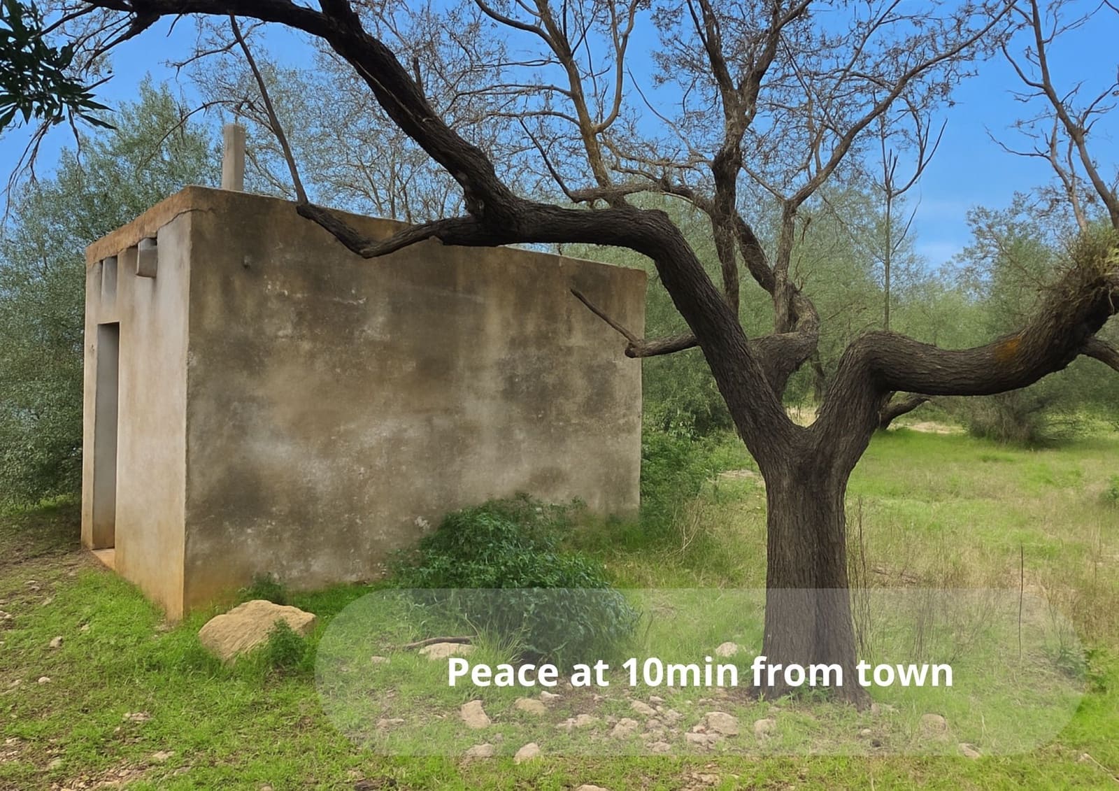 Undeveloped Land for sale in Amposta - € 25,000 (Ref: 9439584)