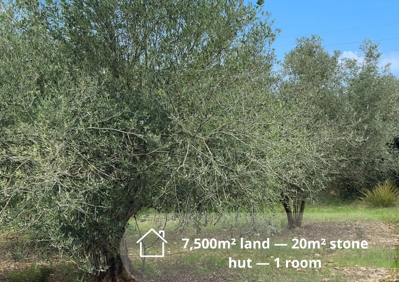Undeveloped Land for sale in Amposta - € 25,000 (Ref: 9439584)
