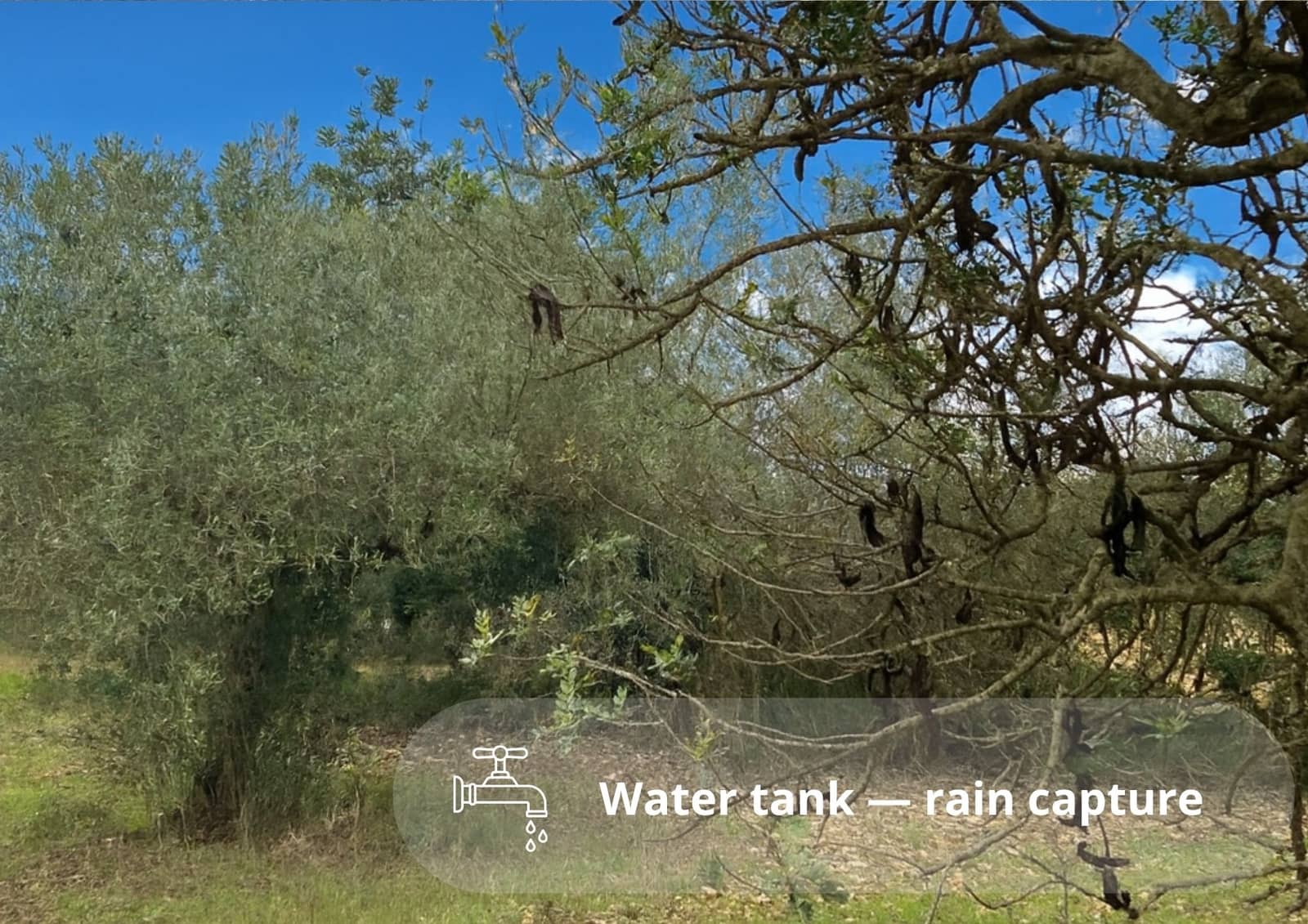 Undeveloped Land for sale in Amposta - € 25,000 (Ref: 9439584)