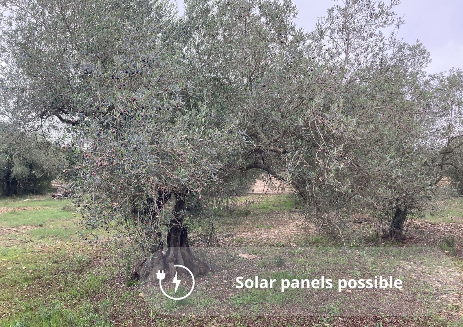 Undeveloped Land for sale in Amposta - € 25,000 (Ref: 9439584)