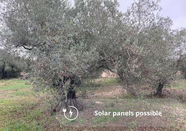 Rakentamaton maa myytävänä paikassa Amposta - 25 000 € (Ref: 9439584)