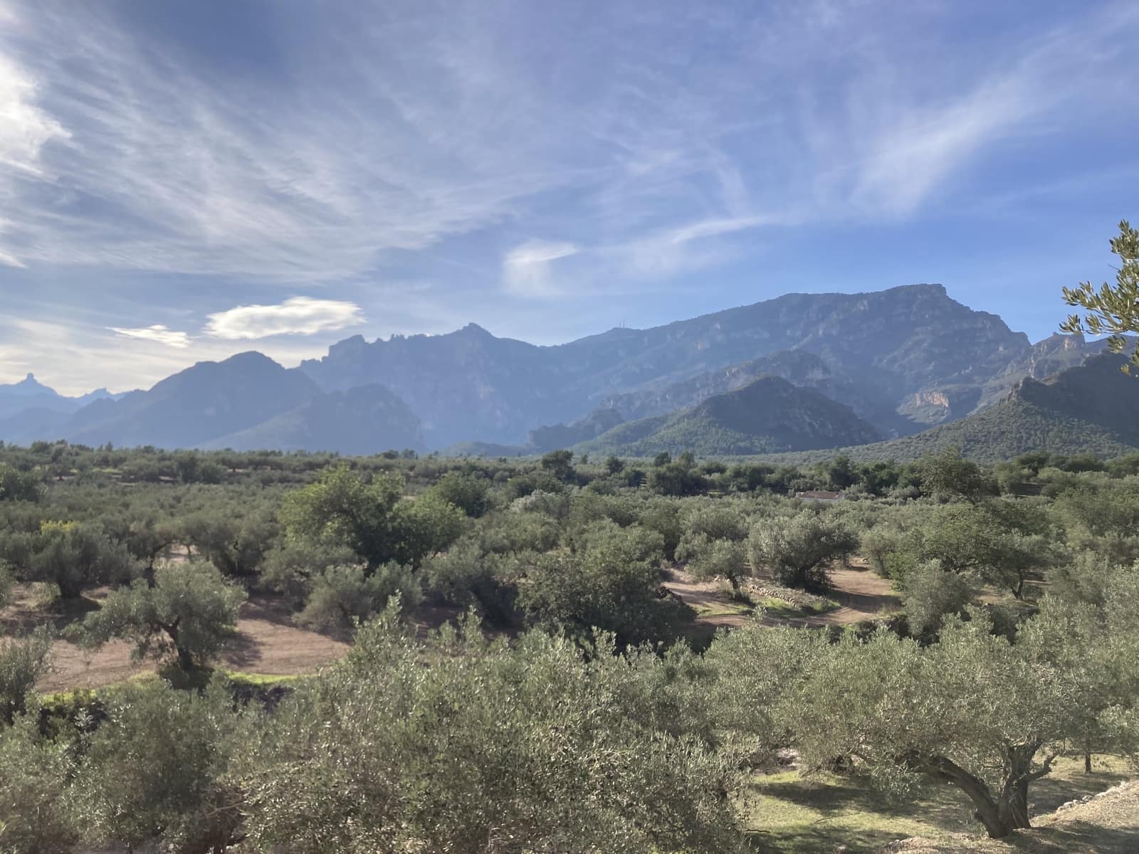 Ubebygd land til salgs i Roquetes - € 45 000 (Ref: 9439585)