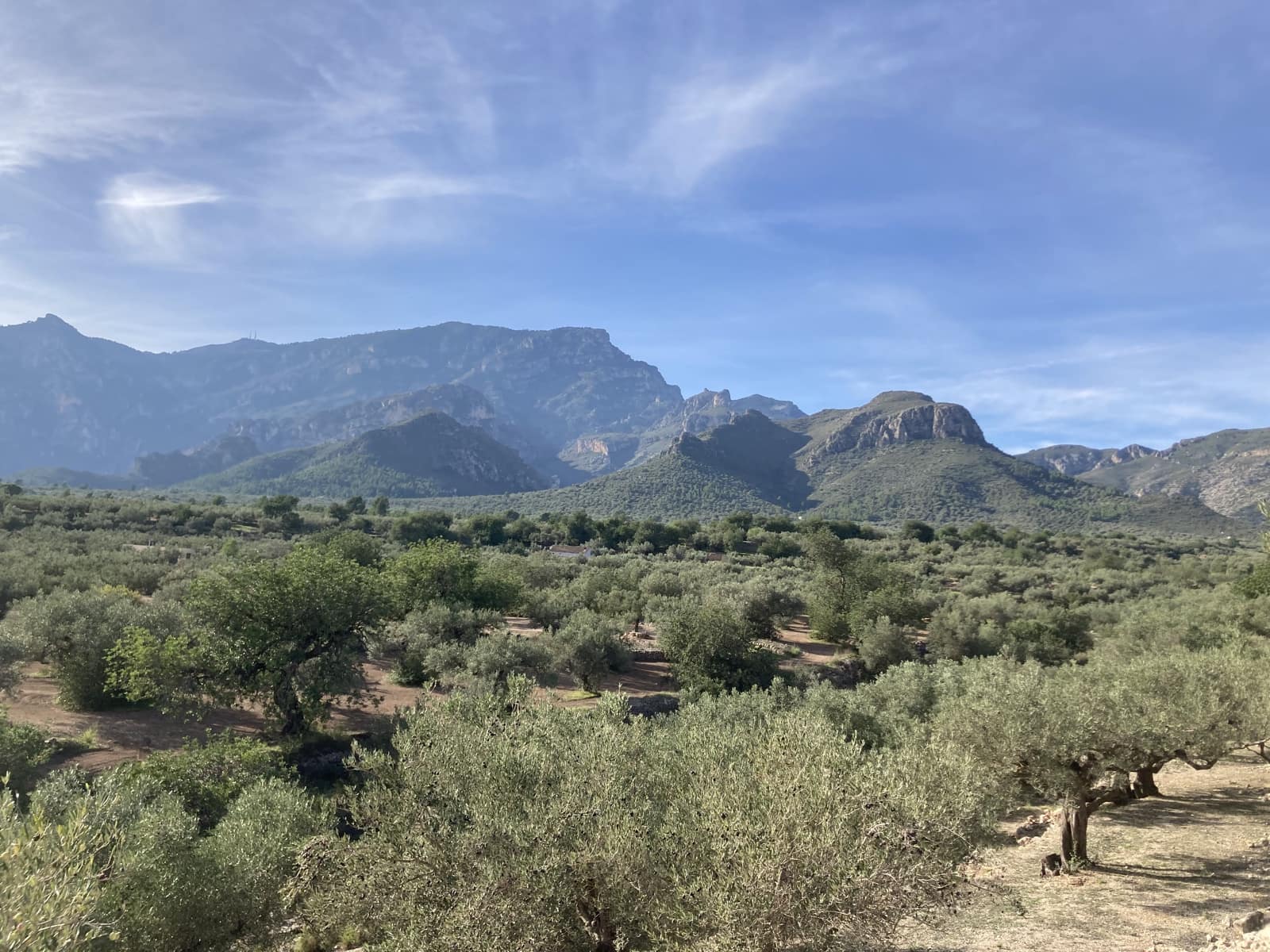 Ubebygd land til salgs i Roquetes - € 45 000 (Ref: 9439585)