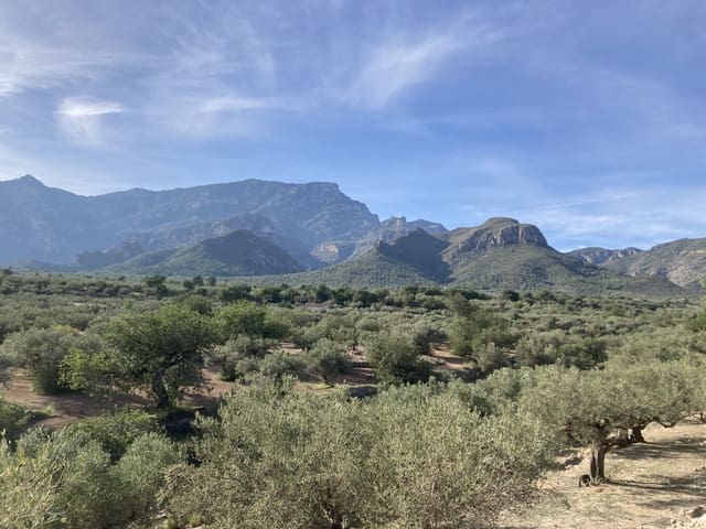 Ubebygd land til salgs i Roquetes - € 45 000 (Ref: 9439585)