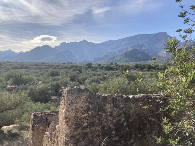 Ubebygd land til salgs i Roquetes - € 45 000 (Ref: 9439585)