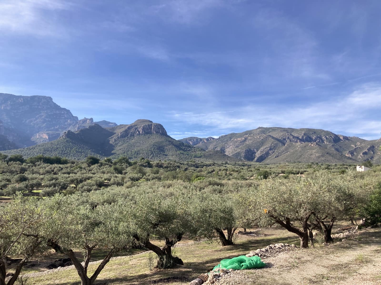 Ubebygd land til salgs i Roquetes - € 45 000 (Ref: 9439585)