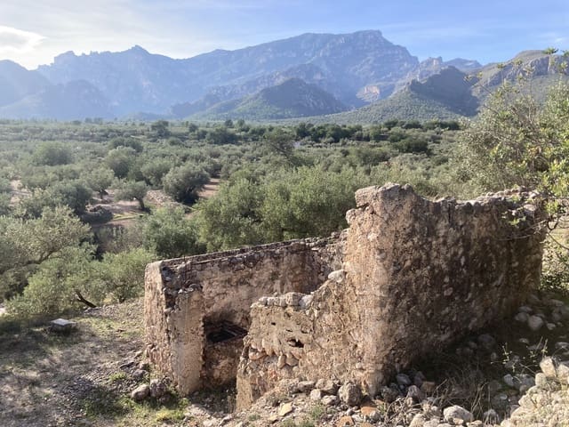 Ubebygd land til salgs i Roquetes - € 45 000 (Ref: 9439585)