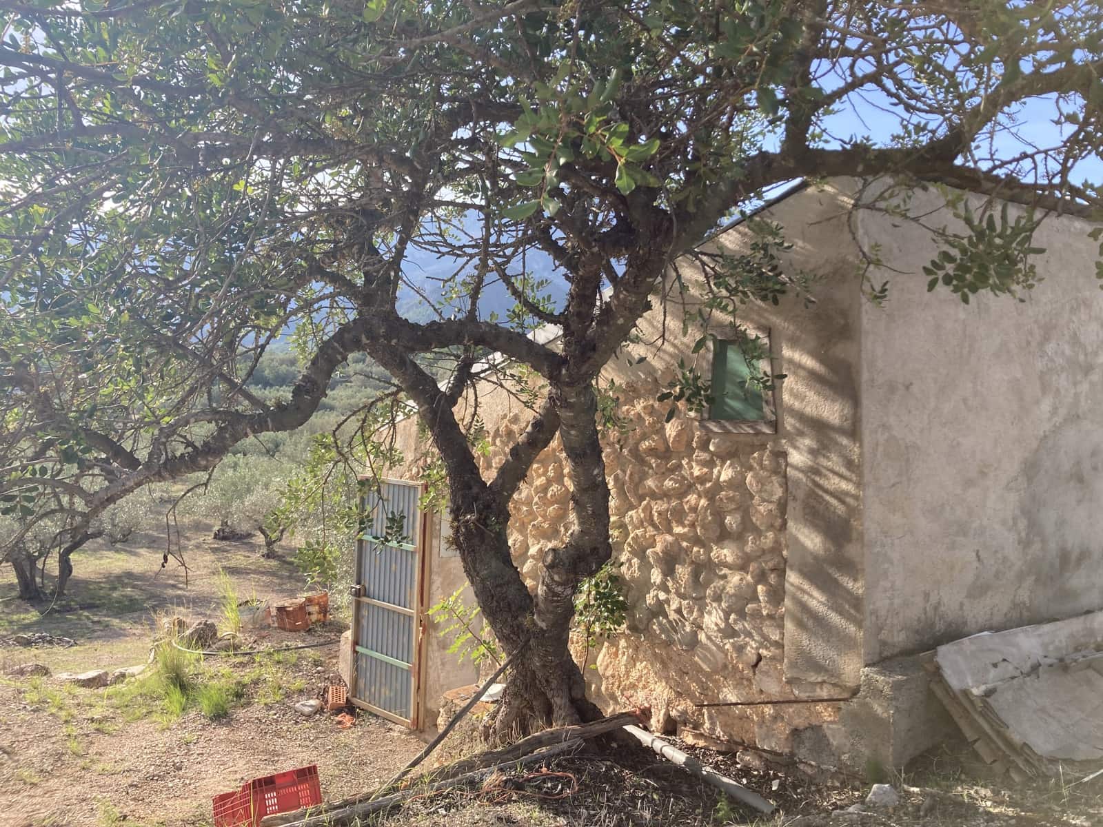 Ubebygd land til salgs i Roquetes - € 45 000 (Ref: 9439585)