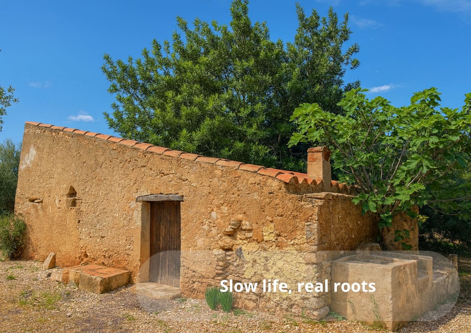 Undeveloped Land for sale in L'Ampolla - € 46,000 (Ref: 9439630)