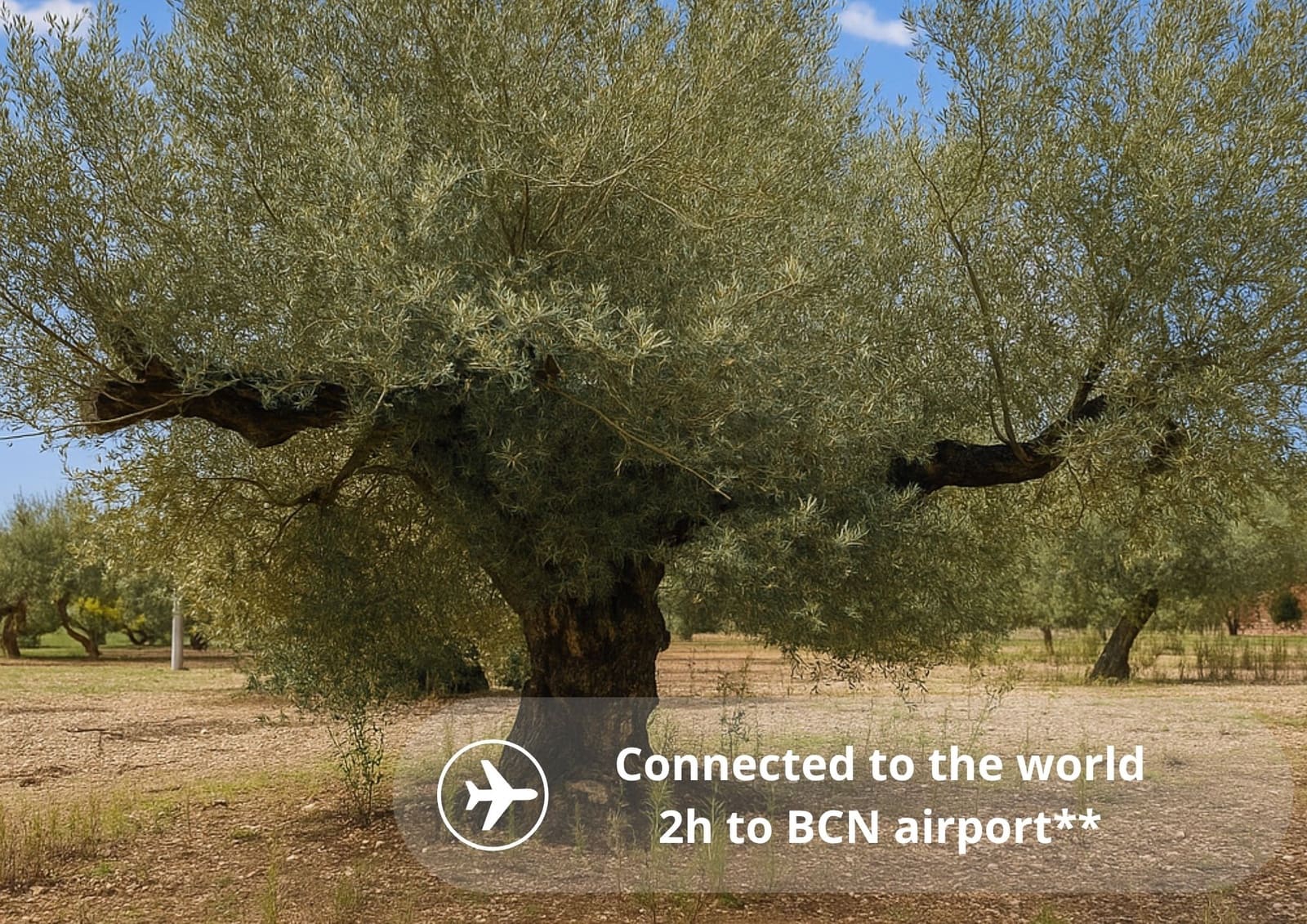 Undeveloped Land for sale in L'Ampolla - € 46,000 (Ref: 9439630)