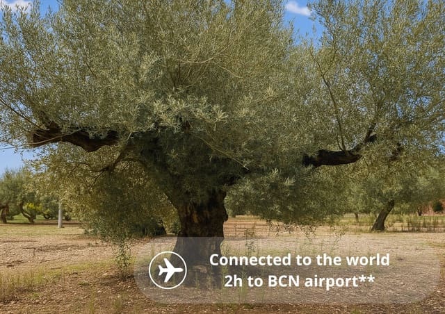 Ubebygd land til salgs i L'Ampolla - € 46 000 (Ref: 9439630)