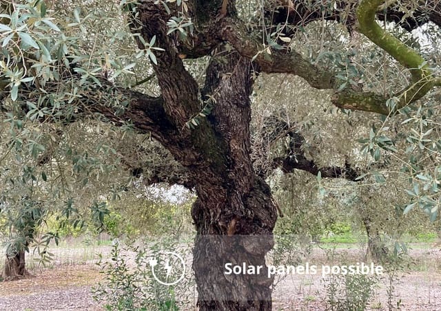 Ubebygd land til salgs i L'Ampolla - € 46 000 (Ref: 9439630)