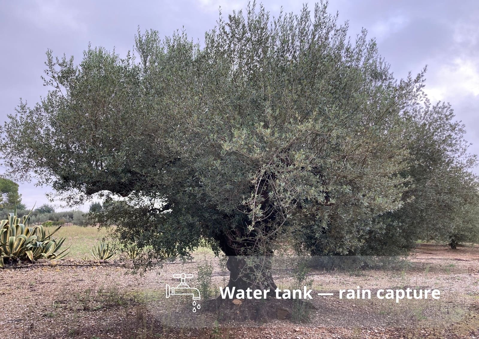 Undeveloped Land for sale in L'Ampolla - € 46,000 (Ref: 9439630)