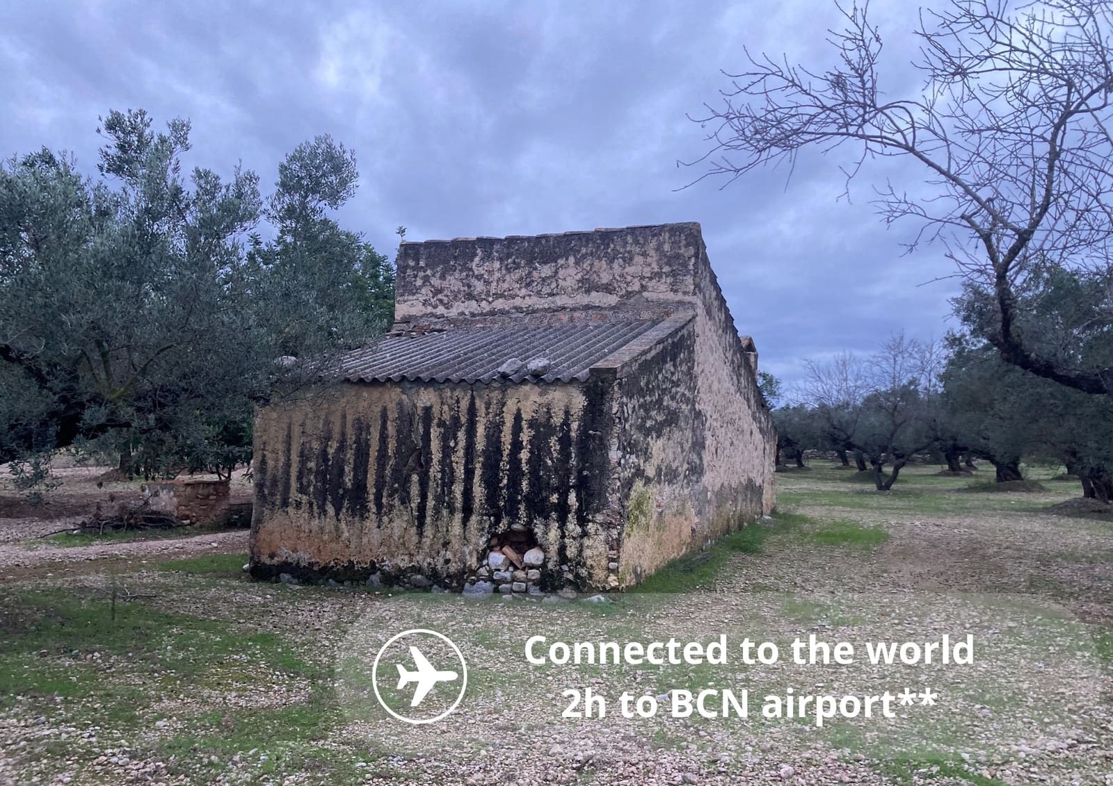 Grunde uden byggetilladelser til salg i Mas de Barberans - € 47.000 (Ref: 9439686)