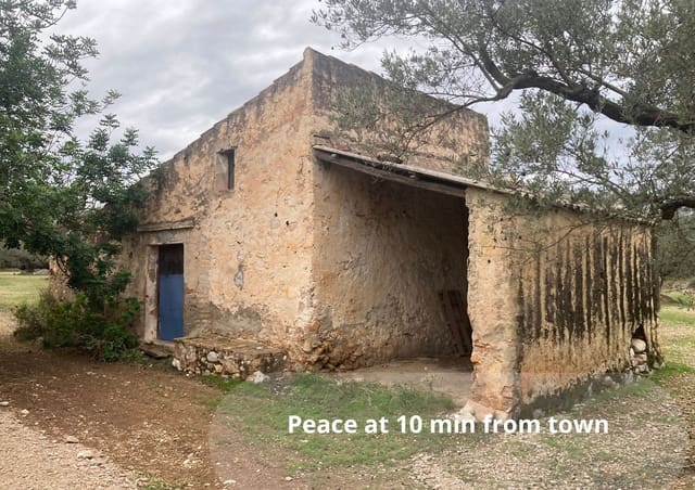 Grunde uden byggetilladelser til salg i Mas de Barberans - € 47.000 (Ref: 9439686)