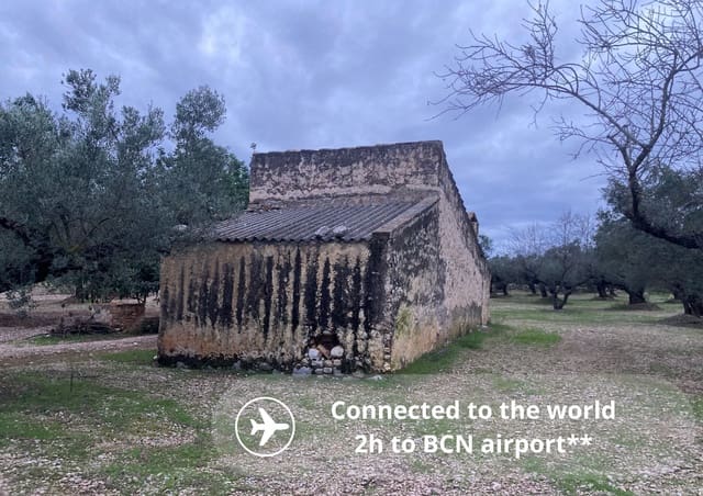 Grunde uden byggetilladelser til salg i Mas de Barberans - € 47.000 (Ref: 9439686)