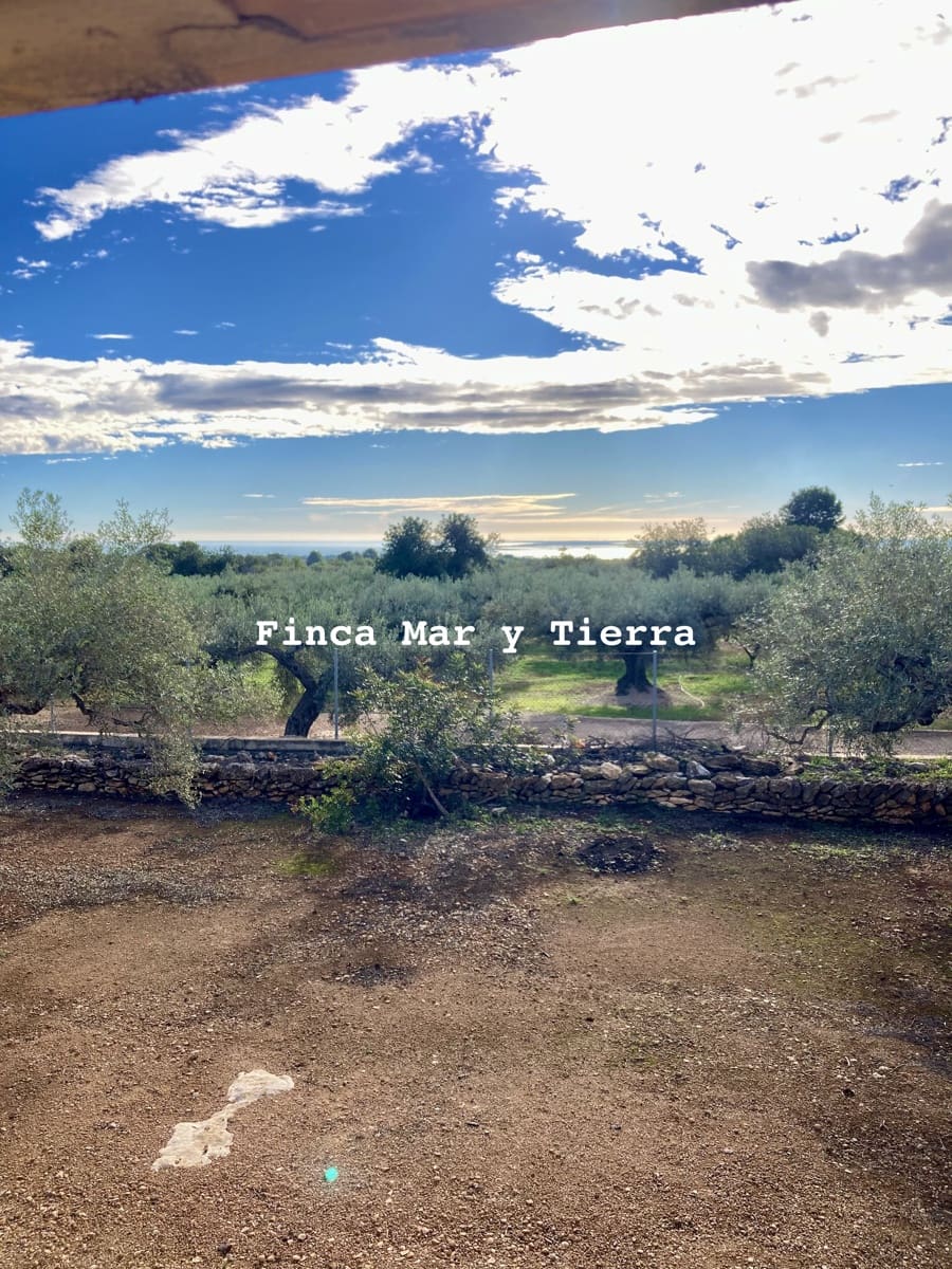 Terre non Aménagée à vendre à El Perello - 77 000 € (Ref: 9439929)