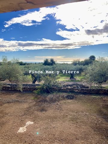 Grunde uden byggetilladelser til salg i El Perelló - € 77.000 (Ref: 9439929)