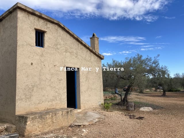 Grunde uden byggetilladelser til salg i El Perelló - € 77.000 (Ref: 9439929)