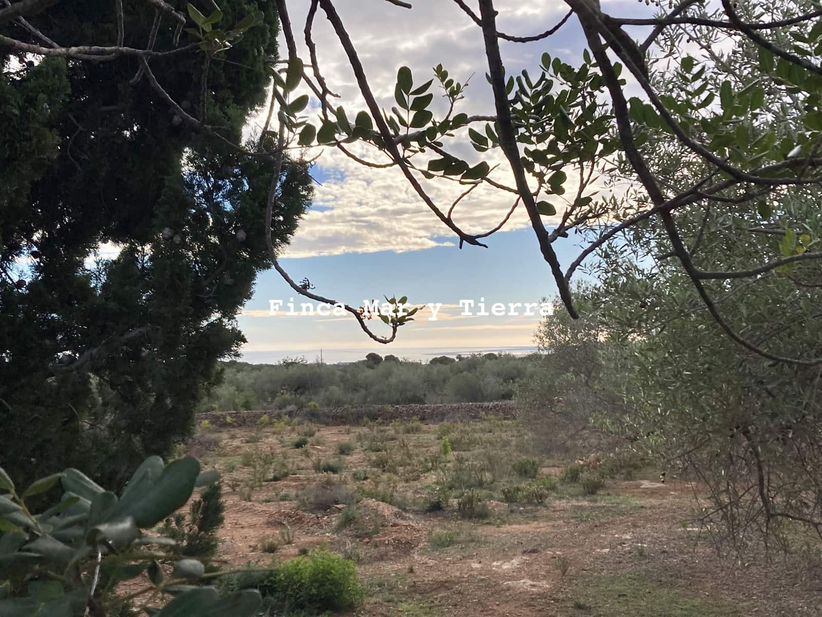 Terre non Aménagée à vendre à El Perello - 77 000 € (Ref: 9439929)